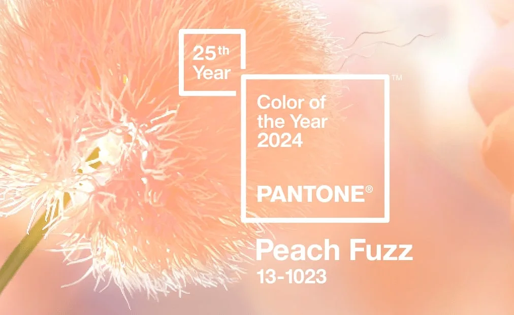 Toto je Pantone farba roka 2024 Skillmea